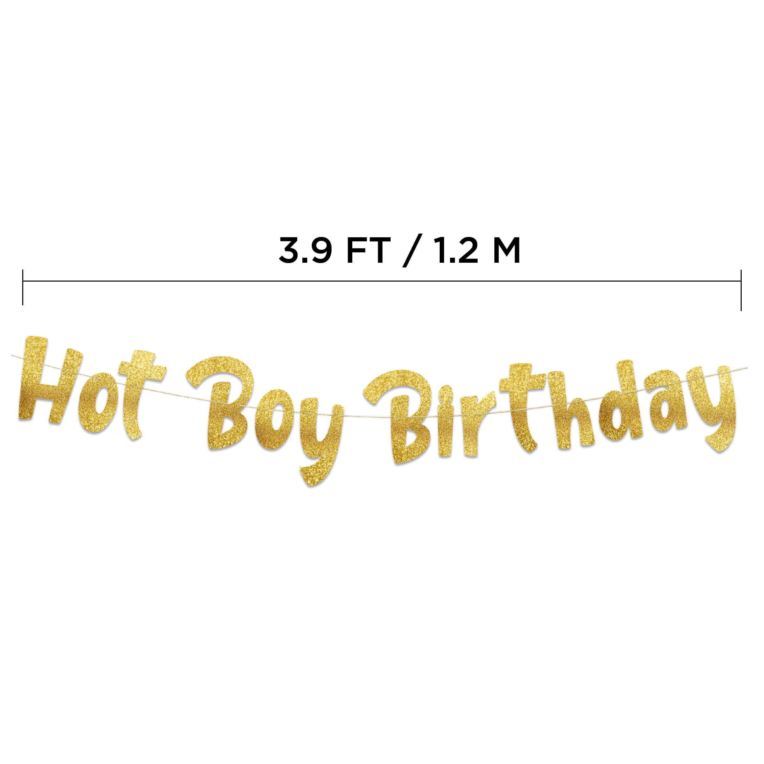 Hot Boy Birthday Gold Glitter Banner - Funny Birthday Party Decorations, Supplies, Ideas, and Gifts for Men - 21st -25th - 30th - 40th Birthday