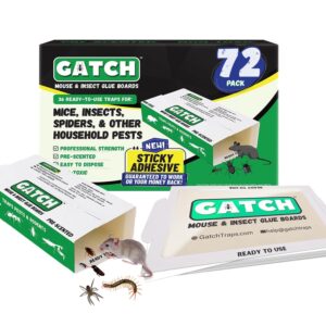 gatch glue boards (72pk - green, scented, 72, count)