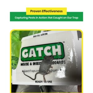 GATCH Glue Boards (72pk - Green, Scented, 72, Count)