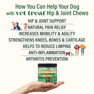 Hemp Hip and Joint Supplement for Dogs - Glucosamine for Dogs -Made in USA- 120 Treats Pain Relief Anti Inflammatory - Chondroitin, MSM, Hemp Oil - Dog Joint Supplement w/Arthritis Relief + Mobility