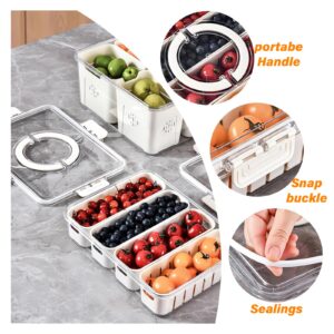 YFUIF Portable Fruit Storage Containers for Fridge, 4 Compartments Snack Box Container, BPA-Free Divided Serving Tray with Lid for Veggie, Clear Snack Tray Candy Tray (1, 4 Compartment-1 Pack)