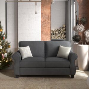 Sunrise Coast Loveseat Sofa 56'' Small Couches for Living Room Upholstered 2 Seater Sofas with Round Armrest Cushion with Zipper, Grey