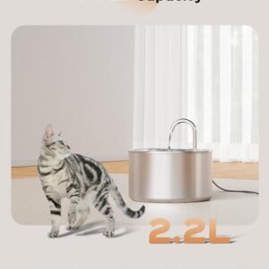 Stainless Steel Cat Water Fountain: Pet Fountains Indoor Metal Automatic Dispenser Cat Waterer Bowls Dog Faucet Bottle Pets 24/7 Running Watering for Drinking Quiet Pump with 1 Filter