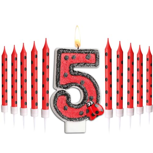 Herdear Ladybug Number 1-9 Birthday Cake Candle Numeral Birthday Candles Birthday Decorations Black Red Polka Dots Ladybird Dots Ladybug Theme Candles for Birthday Party Baby Shower (Number 5)