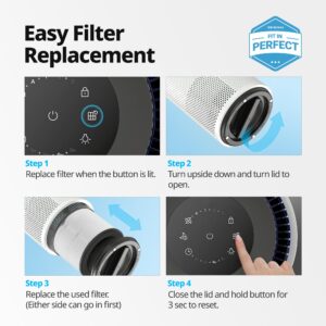 Coway Airmega 100 Air Purifier Replacement Filter Set, True HEPA and Deodorization Filter