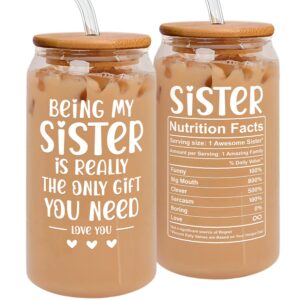 gifts for sister - sister gifts from sister, brother - birthday gifts for sister, sister birthday gifts from sister - funny gifts for sister - christmas gifts for sister women - 20 oz can glass