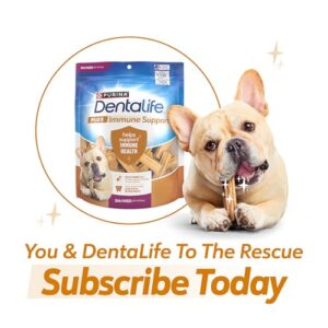 Purina Dentalife Plus Immune Support Chicken, Apple and Blueberry Flavor Small/Medium Dog Dental Chews - 19 ct. Pouch