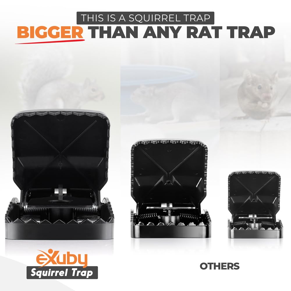 Squirrel Trap (2 Pack) - Consistent & Humane Kill Every Time with no Failures - Powerful Spring - 5" Large Opening - 96% Instant Kill - for Attic, Garden, Forest & More - Reusable - Easy Setup