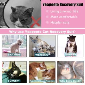 Yeapeeto Cat Recovery Suit After Surgery Bodysuit for Cats, E-Collar Substitute Keep from Licking Abdominal Wounds, Kitten Breathable Clothes, Warm After Shaving(Fruit,M)