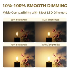 Hizashi E12 Candelabra Bulb 60 watt Equivalent, 2700K Soft Warm White, Dimmable Chandelier Light Bulbs, 90+ CRI 6W 550LM, CA11 Flame Tip E12 LED Candle Bulb, UL Listed,12 Pack