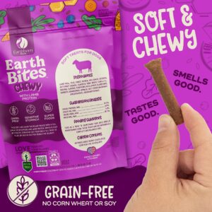 Earthborn Holistic EarthBites with Lamb Grain-Free Soft Treats for Dogs & Puppies, Sensitive Stomach (7 oz. Pouch)