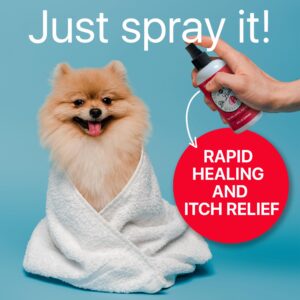 DR. BAILEY'S Miracle Animal Spray - 8 OZ Hot Spot Treatment for Dogs Spray | for Skin, Paws, Eyes & Ears | Skin Irritation Treatment | Anti Itch