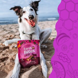 Earthborn Holistic EarthBites with Lamb Grain-Free Soft Treats for Dogs & Puppies, Sensitive Stomach (7 oz. Pouch)