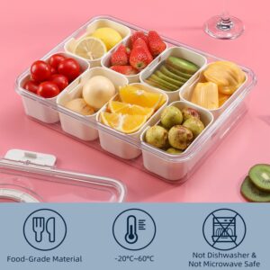 Snackle Box Charcuterie Container, Divided Serving Tray with Lid and Handle, Portable Snack Platters for Fruit, Nuts, Candy, Entertaining, Party, Picnic