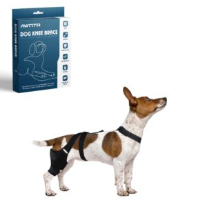 dog brace for acl tear back leg - hip dysplasia brace for dogs - dog hip brace - acl brace for dogs - knee brace for dogs with torn acl - dog acl knee brace - dog acl brace hind leg - dog acl brace -s