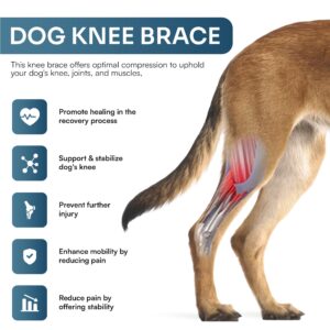 Dog Brace for Acl Tear Back Leg - Hip Dysplasia Brace for Dogs - Dog Hip Brace - Acl Brace for Dogs - Knee Brace for Dogs with Torn Acl - Dog Acl Knee Brace - Dog Acl Brace Hind Leg - Dog Acl Brace -S