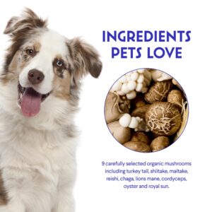 Wonder Paws Immune Support Mushroom Powder for Dogs – Organic Mushroom Complex for Immunity, Cognition, Cellular Health, Longevity - With Turkey Tail Mushroom for Dogs, Reishi & Lions Mane – 90 Scoops