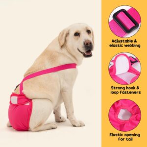 3 Pack Avont Washable Female Dog Diaper with Suspender, Reusable Girl Doggie Diapers for Small Medium Large Doggy in Heat Cycle Period Incontinence -L