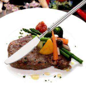 TSTQH 63 cm long stainless steel telescopic knife telescopic dinner fruit dessert knife dinner knife 9 inches ~ 25 inches