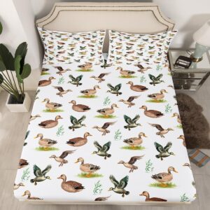 queen size duck bed sheet set boys girls wild duck print fitted sheet for kids women men ultra soft grey bedding set duck hunting bed cover room decor