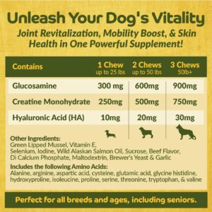 Happy Jack Flexenhance Dog Hip and Joint Supplement with Skin & Coat Support Plus (80 Chewable Tabs), Improve Flexibility & Mobility, Glucosamine, Green Lipped Mussel, Fish Oil