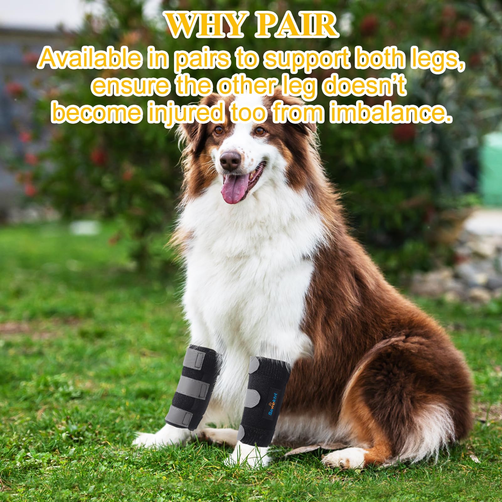 Bawektrl Dog Wrist Brace Compression Carpus Wraps with lateral Metal splints, Provide More Support for Canine Front Leg, Help with Cruciate Ligament, Wound Healing and Loss of Stability from Arthritis