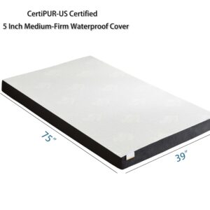 Memory Foam Mattress,5 Inch, Medium-Firm Waterproof Cover,Twin, Bed Mattress in a Box for Kids Adult CertiPUR-US Certified