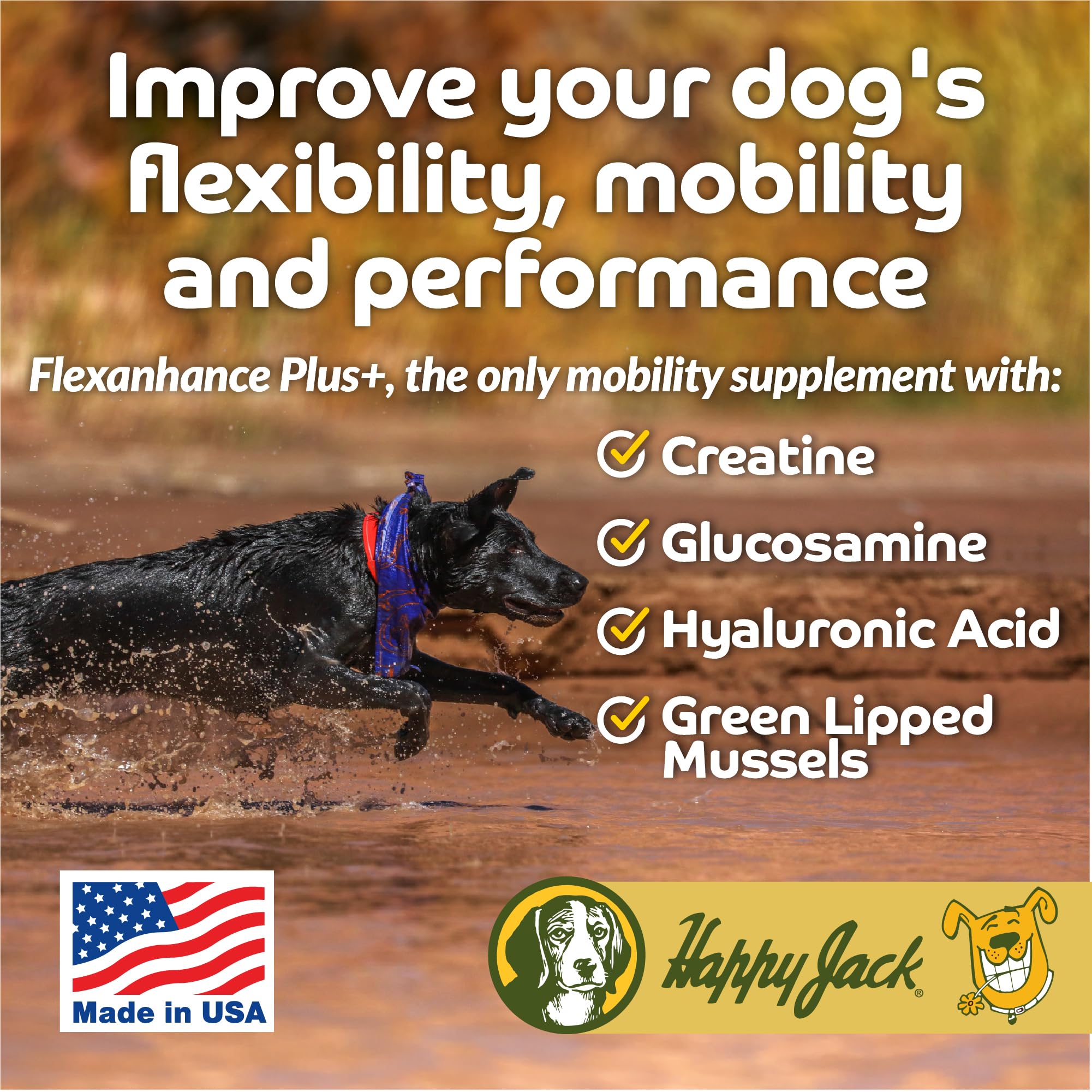 Happy Jack Flexenhance Dog Hip and Joint Supplement with Skin & Coat Support Plus (80 Chewable Tabs), Improve Flexibility & Mobility, Glucosamine, Green Lipped Mussel, Fish Oil