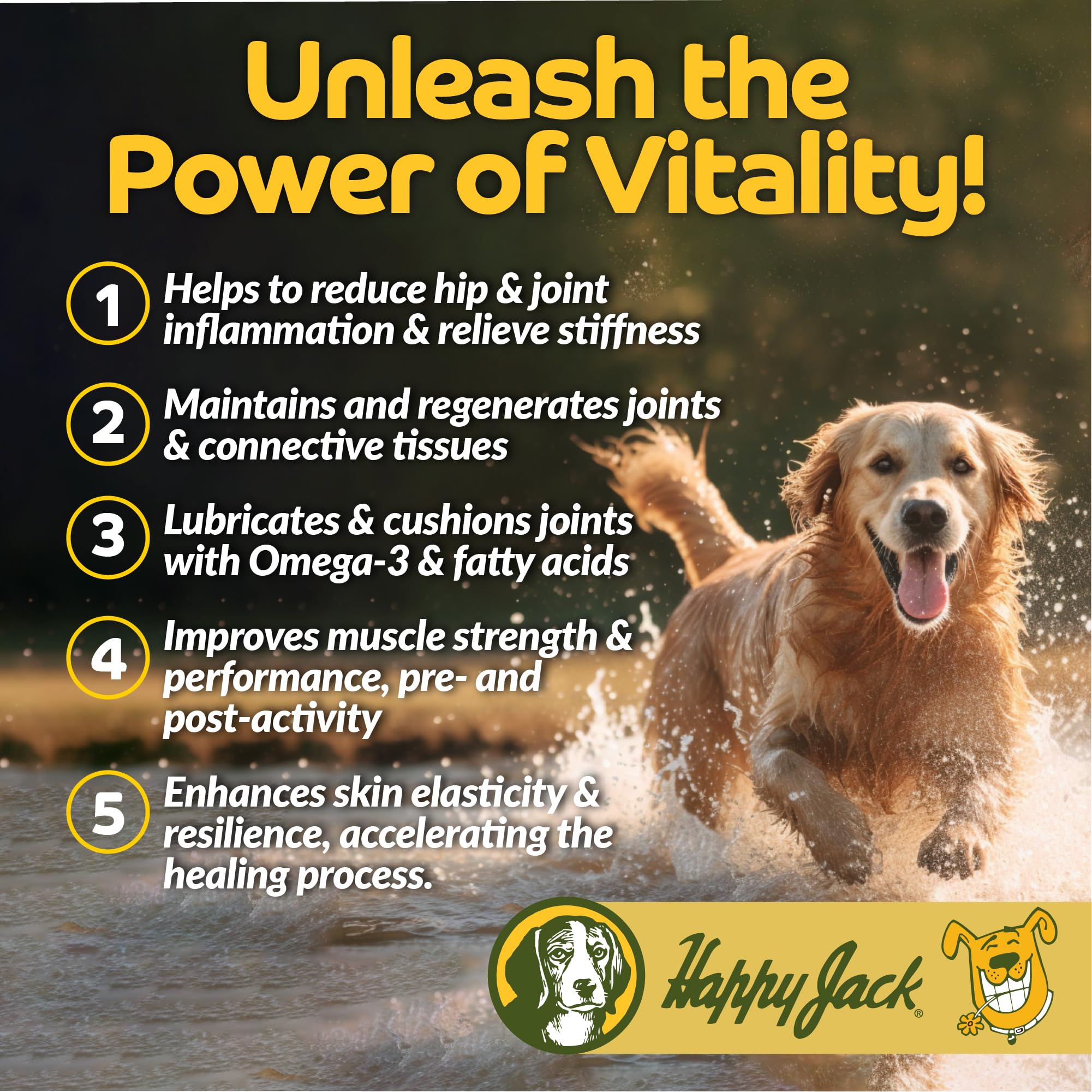 Happy Jack Flexenhance Dog Hip and Joint Supplement with Skin & Coat Support Plus (80 Chewable Tabs), Improve Flexibility & Mobility, Glucosamine, Green Lipped Mussel, Fish Oil