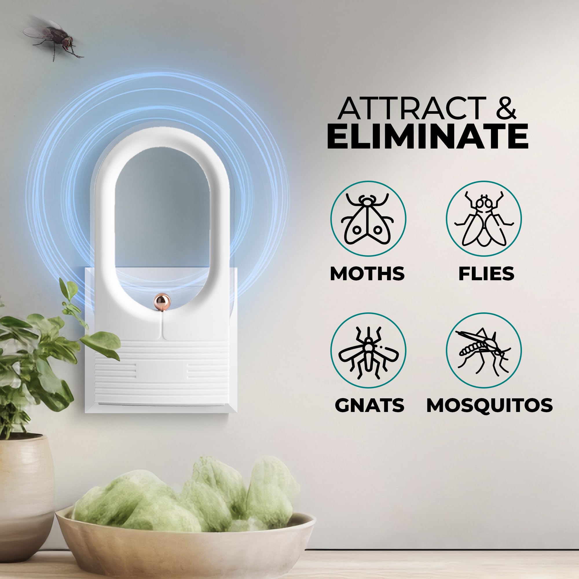 Plug in Fly Trap Indoor 2-Pack - Effective Indoor Flying Insect Trap |UV Bug Light Indoor Plug in | Non-Toxic Indoor Fly Trap for Home for Fruit Fly, Wasp, House Fly, Bug, Mosquito