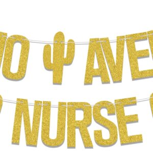 Nacho Average Nurse Banner, Congrats Nurse BSN/RN Grad Party Decorations, 2024 Nurse Medical School Graduation Decor, Congrats Grad Class of 2024 Nursing School Graduation Party Supplies