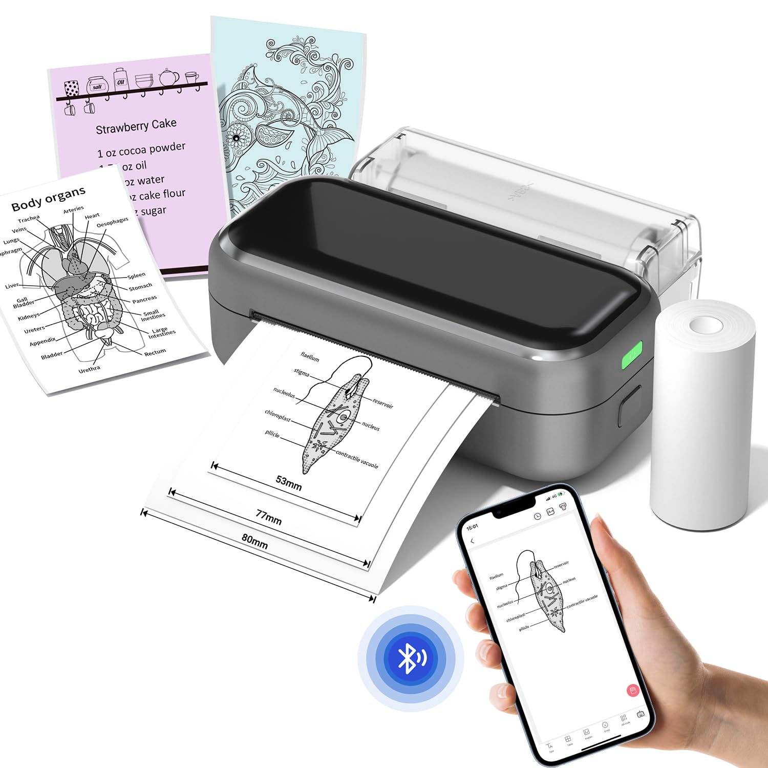 PhoFuta Mini Printer for iPhone, Sticker Printer Machine Portable Thermal Inkless Photo Printer via Bluetooth, Can Print 53mm(2 inch)/80mm(3 inch) Width Paper,Note Buddy Best for Memo,Journal,Plan