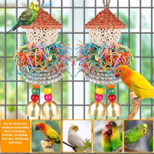 BBjinronjy Conure Toys,2PCS Bird Toys Parrot Foraging Shredder Hanging Toys Sola Balls with Bell for Small Parrots Parakeets Cockatiel Conures Love Birds Budgie Cage Toy