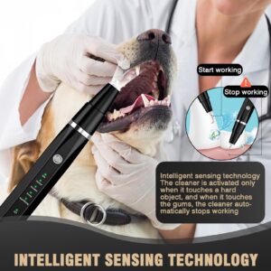 Ultrasonic Tooth Cleaner for Dogs, Dog Teeth Plaque Remover Pets Dental Care Scaler Tartar Stains Electric Cleaning Kit Finger Toothbrush Rechargeable 5 Cleaning Modes 4 Heads with LED Light (Black)