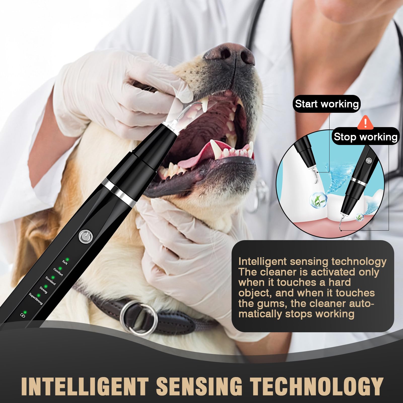 Ultrasonic Tooth Cleaner for Dogs, Dog Teeth Plaque Remover Pets Dental Care Scaler Tartar Stains Electric Cleaning Kit Finger Toothbrush Rechargeable 5 Cleaning Modes 4 Heads with LED Light (Black)