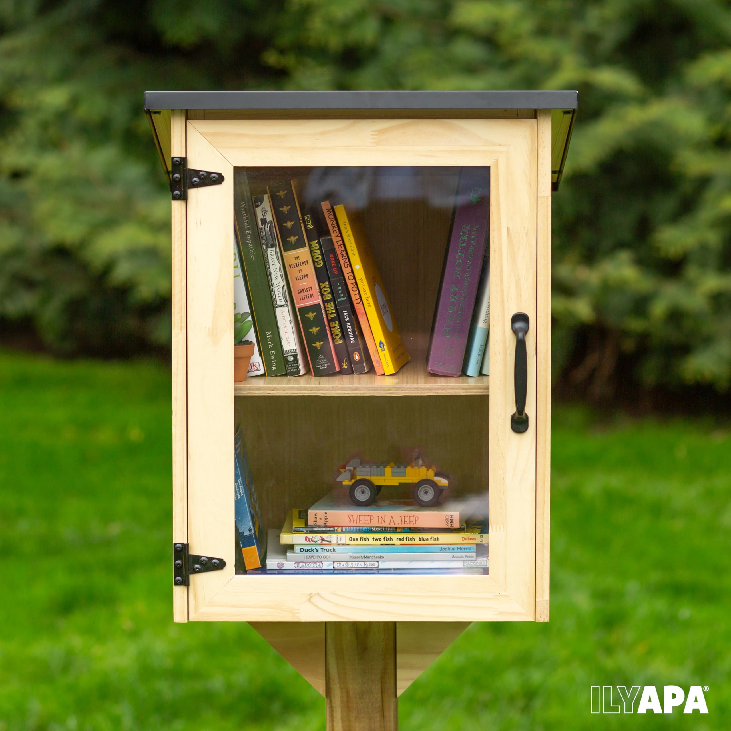 Ilyapa Outdoor Library Book Box - Free Literature Exchange Kit for Outside - Little Wood Cabinet for Sharing Books, Art with Your Community, Students or Teachers - Easy Mount to Post - 16x14x22 Inch