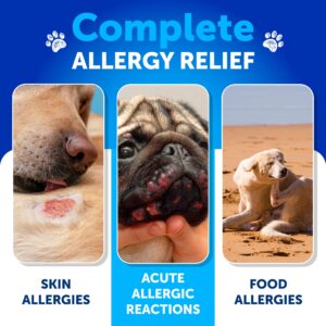 Artullano Dog Allergy Relief Chews - Dog Itching Skin Relief Treatment Pills - Itchy and Paw Licking - Anti-Itch Support - Immune Skin & Coat Supplement - Dry Skin and Hot Spots - 180 Treats