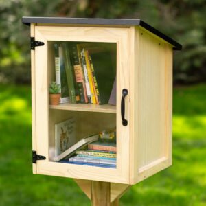 ilyapa outdoor library book box - free literature exchange kit for outside - little wood cabinet for sharing books, art with your community, students or teachers - easy mount to post - 16x14x22 inch