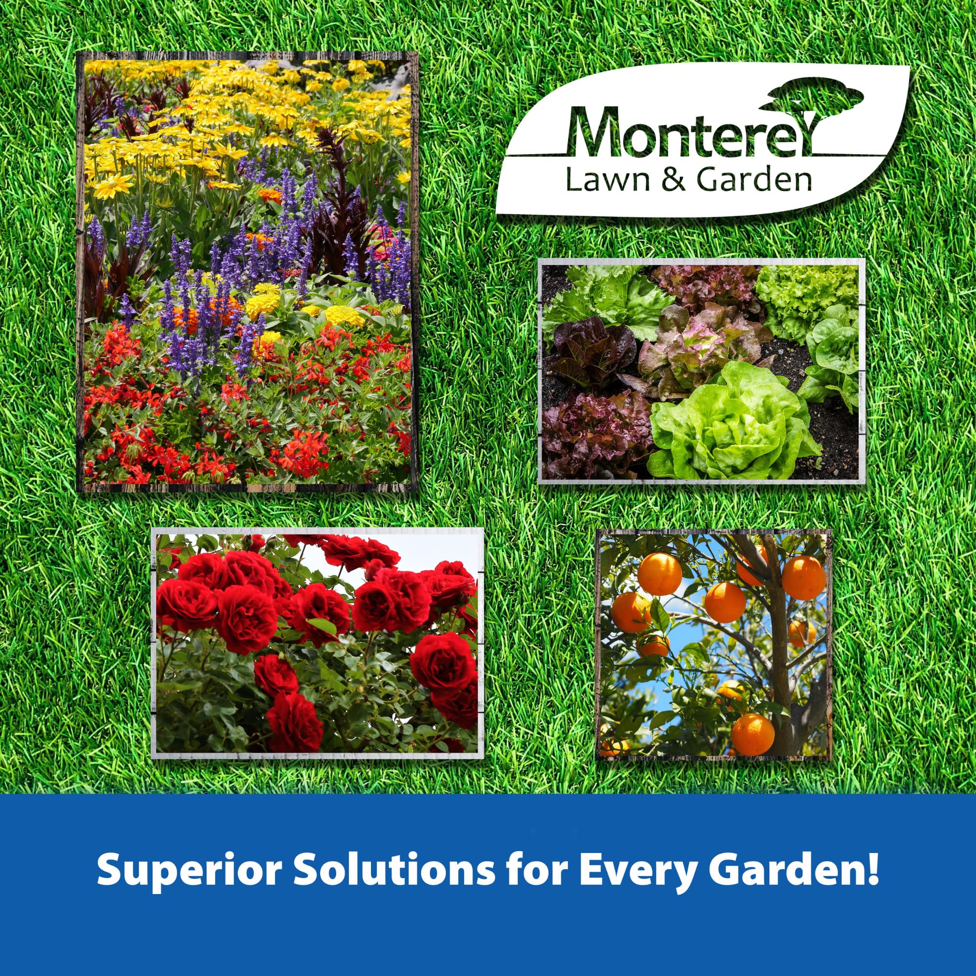 Monterey Take Down-O Garden Spray, 1 Gallon, Organic Control of Aphids, Caterpillars, Mealybugs, Webworms