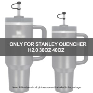 Silicone Spill Stopper Set Compatible with Stanley Cup 2.0 30oz & 40oz with Straw Cover (Set of 2, Black)