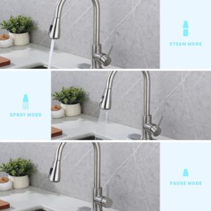 Kitchen Faucet with Pull Down Sprayer- Brushed Nickel Sink Faucets, 360° Swivel Single Handle High Arc Stainless Steel, Commercial Modern Kitchen-Faucets, 1/3 Hole, Deck Plate Included (2-Model)