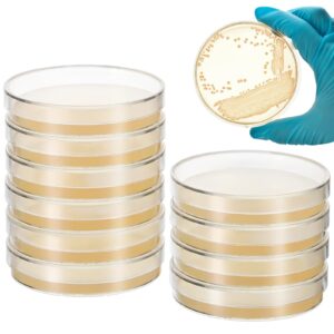 baluue 10pcs nutrient agar petri dishes science project kit, pre-poured agar plates, agar plates prepoured supplies for students