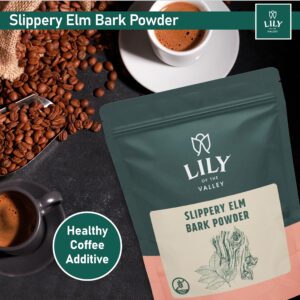 Lily of the Valley Slippery Elm Bark Powder - Ulmus Rubra Powder - No Irradiated No Contaminated - Pet Friendly - Vegan & Gluten-Free - Packed in Resealable Pouch (16oz, 453g)