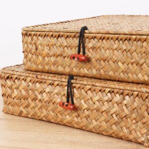 Moosky Flat Wicker Shelf Baskets with Lid, Seagrass Woven Basket Boxes for Storage Basket Bins Multipurpose Home Decor Organizer (Natural Set of 2)