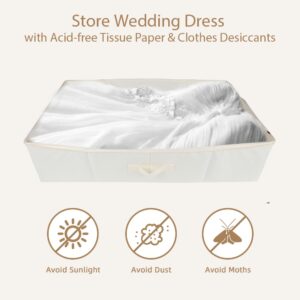 Phaicoilo Large Wedding Dress Storage Box - Beige Preservation Box with 30Pcs Acid-free Tissue Paper