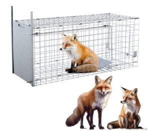 42" large humane live animal trap,collapsible large animal catcher cage,cage traps for large dogs up to 38 pounds,foxes,coyotes,bobcat,similar sized animals