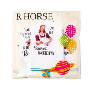 R HORSE 5Pcs Kitchen Dish Towel Funny Joked Themed Dishcloth Absorbent Dish Tea Towel Retro Sassy Lady Kitchen Towel Bar Hand Dishcloth Hilarious Hand Towel Gift for Hostess Mom Women Housewarming