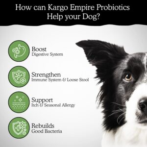 Kargo Empire Probiotic Dog Supplement – Supports Digestion & Healthy Immune System – Helps with Gut Health, Itchy Skin, Seasonal Allergies, and Yeast – 4 Billion CFU’s/2 Chews – 140 Soft Chews