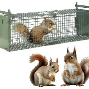 26" 2-Door Live Animal Traps for Stray Cats up to 5.5 pounds, Raccoons, Squirrel, Skunk, Mole, Groundhog, Armadillo, Rabbit, with Pedal Triggers