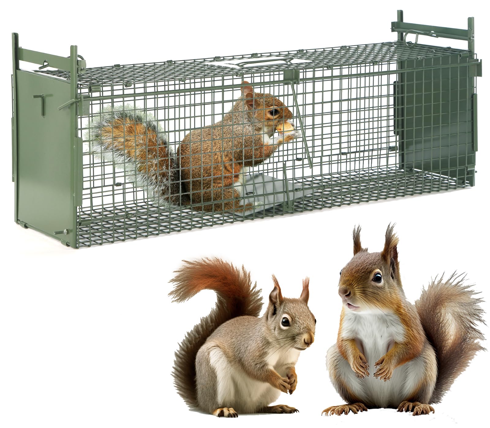 26" 2-Door Live Animal Traps for Stray Cats up to 5.5 pounds, Raccoons, Squirrel, Skunk, Mole, Groundhog, Armadillo, Rabbit, with Pedal Triggers